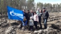 Всероссийский день посадки леса в Тюмени
