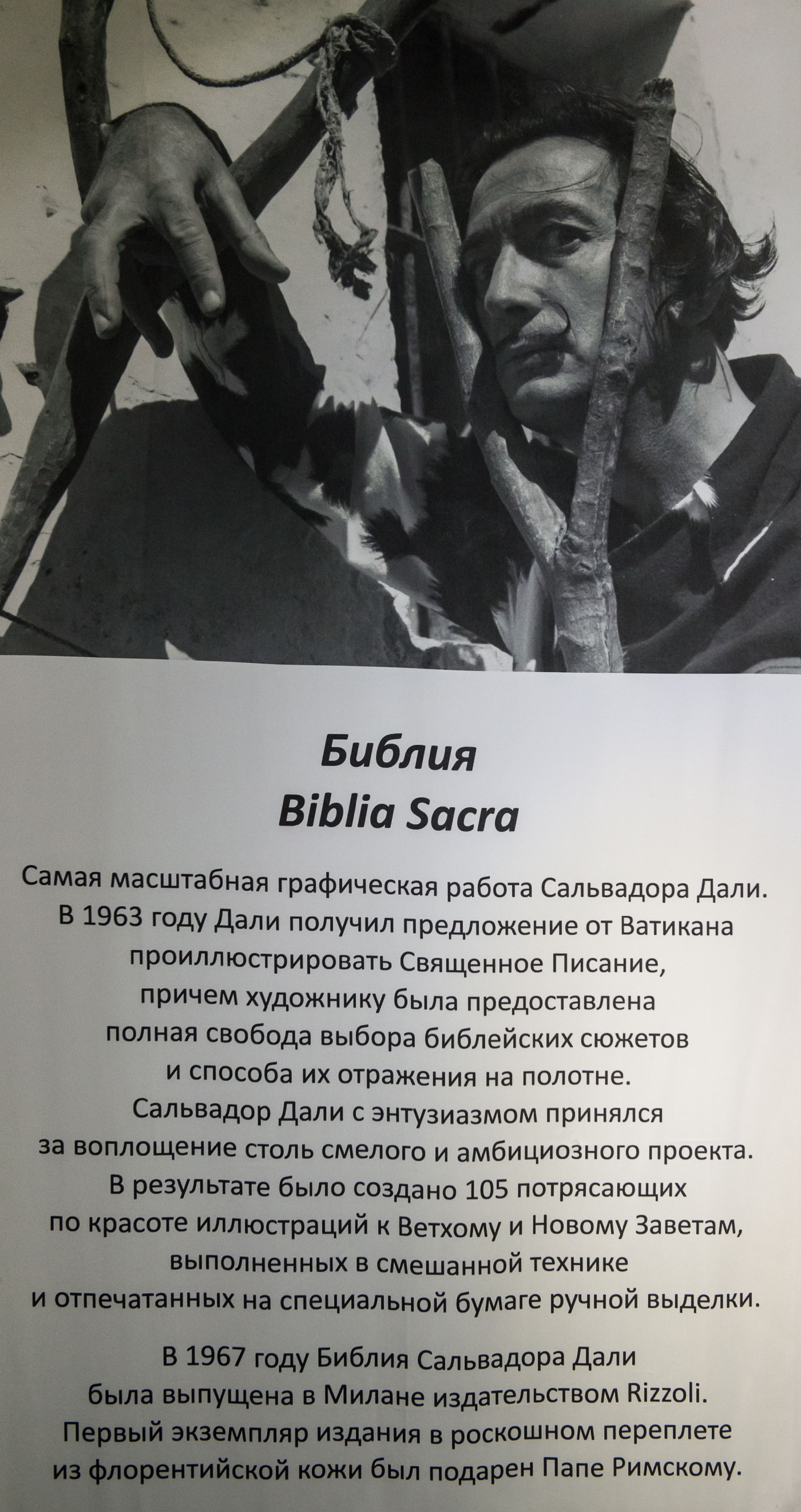 О серии Biblia Sacra