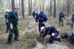 Работники компании ООО «Газпром трансгаз Томск» высадили 194 тысячи саженцев