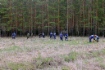 Работники компании ООО «Газпром трансгаз Томск» высадили 194 тысячи саженцев