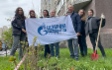 Посадка сирени на Васильевском острове в г. Санкт-Петербурге
