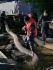 «Газпром инвест» совместно с ФГБУ «Главрыбвод» провел мероприятие по восстановлению водных биоресурсов