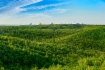 Амурский ГПЗ