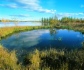Природа Крайнего Севера