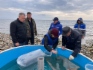 Мероприятие по выпуску омуля