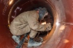 «Газпром» работает над организацией трубопроводных поставок газа в Китай и другие страны АТР