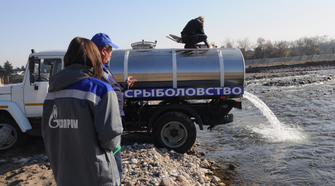Выпуск мальков в горную реку