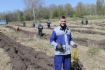 Восстановим лесные богатства. Кемерово