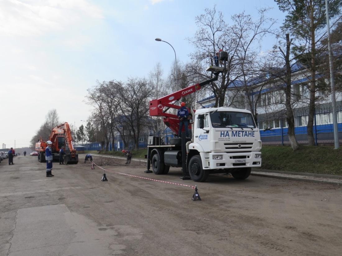 Кемеровские газовики облагородили деревья у своего ЛПУ