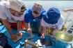 Анализ волжской воды, забранной близ села Рыбное Вольского района Саратовской области
