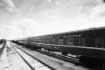 1994 год