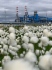 Установка по стабилизации конденсата. Объект альтернативной схемы ЗПКТ