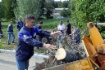 Привели в порядок водоохранные зоны реки Волги