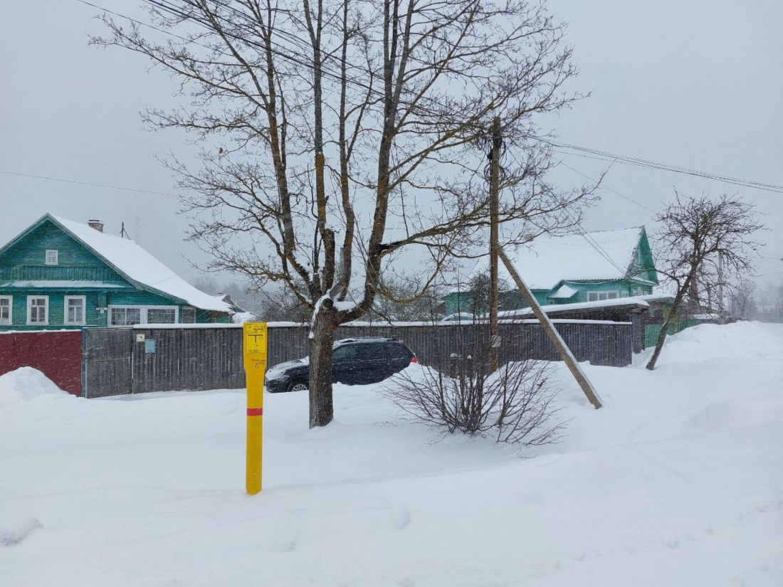 Д. Лесная Новгородской области
