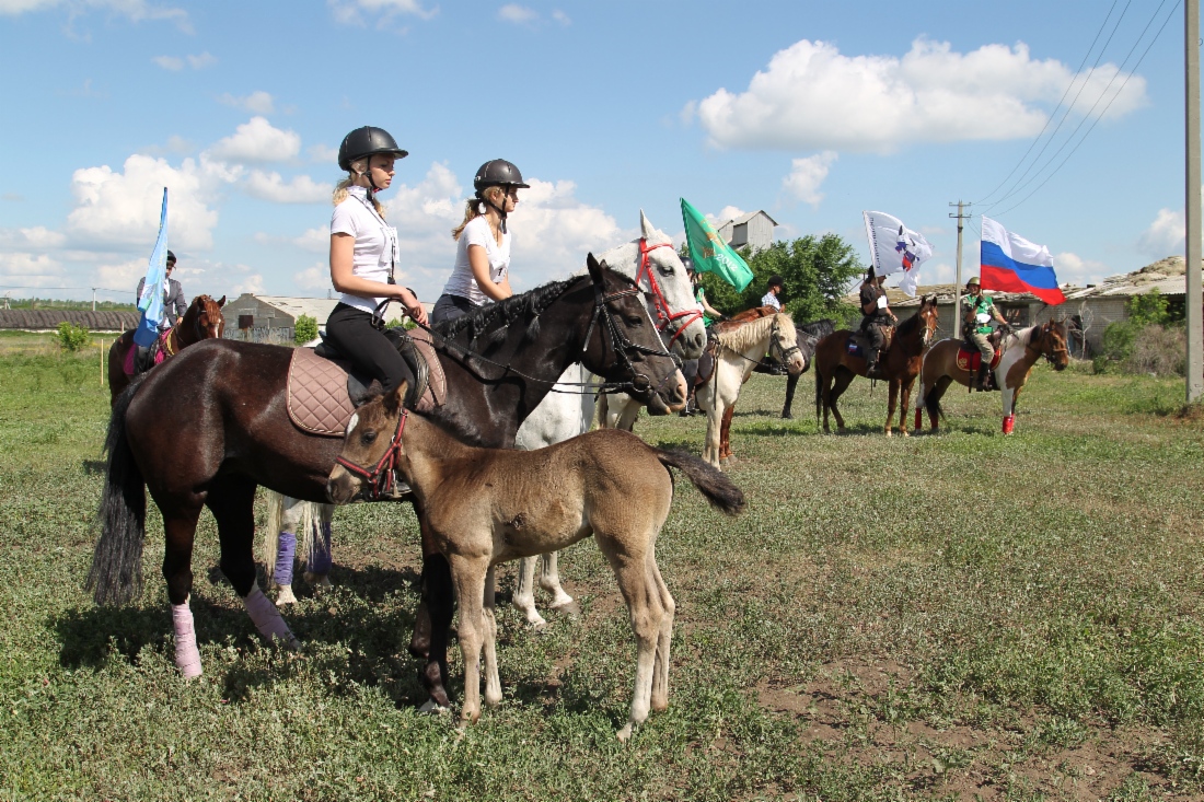 В Самаре прошли соревнования по конно-спортивному ориентированию