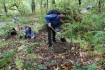 В рамках природоохранного мероприятия «Экология и спорт» в Сочи специалисты ООО «Газпром социнвест» высадили редкие деревья