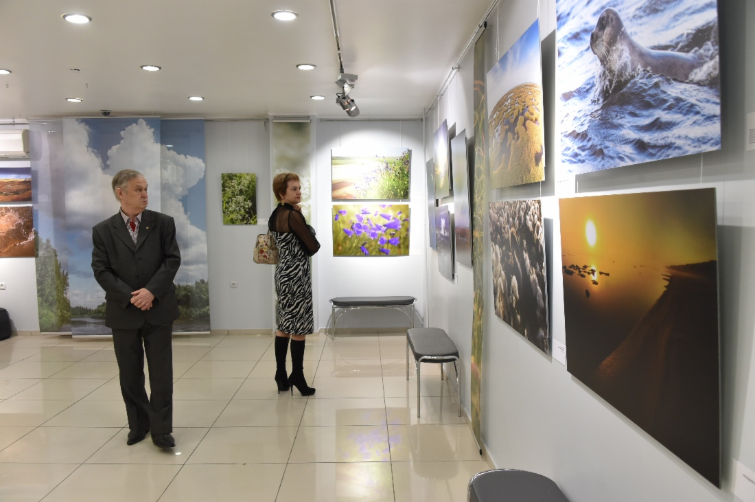 В Новом Уренгое открылась фотовыставка «Заповедный Ямал»