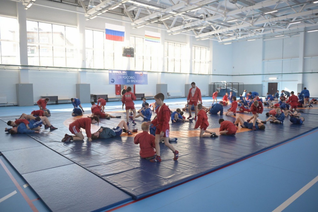 
Тренировка самбистов
