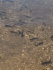 Газовики выпустили в водоем 3203 особи сазана