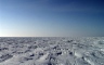 «Газпром» — лучшая российская энергетическая компания в климатическом рейтинге CDP
