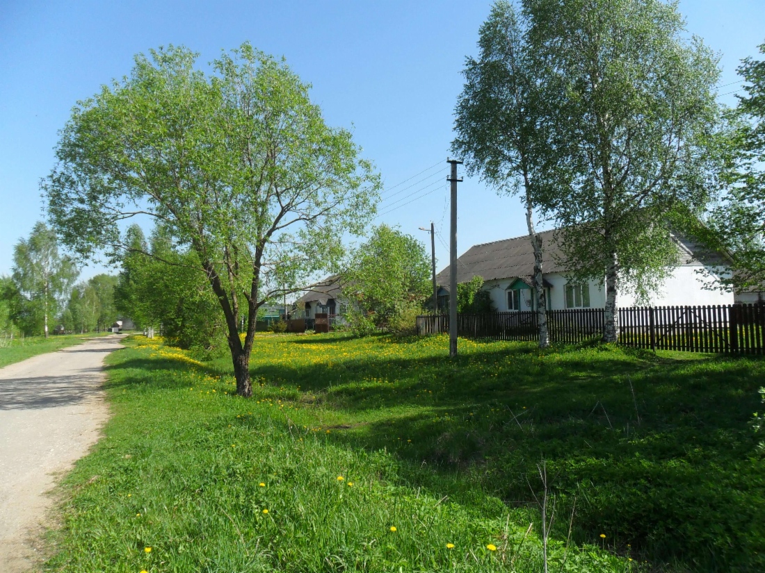 Бережки