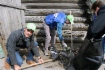 Уборка мусора на одной из улиц Тюмени
