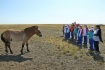 Знакомство было волнительным и для участников фестиваля «Тепло детских сердец», и для лошадей Пржевальского, популяцию которых возрождают в Оренбуржье
