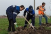 Компания «Газпром добыча Краснодар» высадила кленовую аллею в Славянском районе
