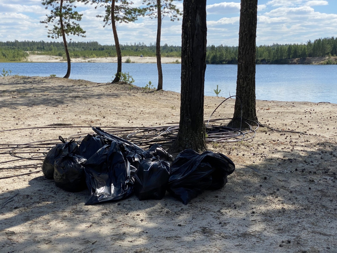 В течение четырех месяцев в регионах присутствия «Газпром добыча Ноябрьск» состоялось 20 экологических десантов