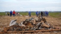 Большое количество металлолома собрано вручную