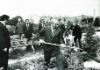 Посадка деревьев на субботнике. 22 апреля 1977 года