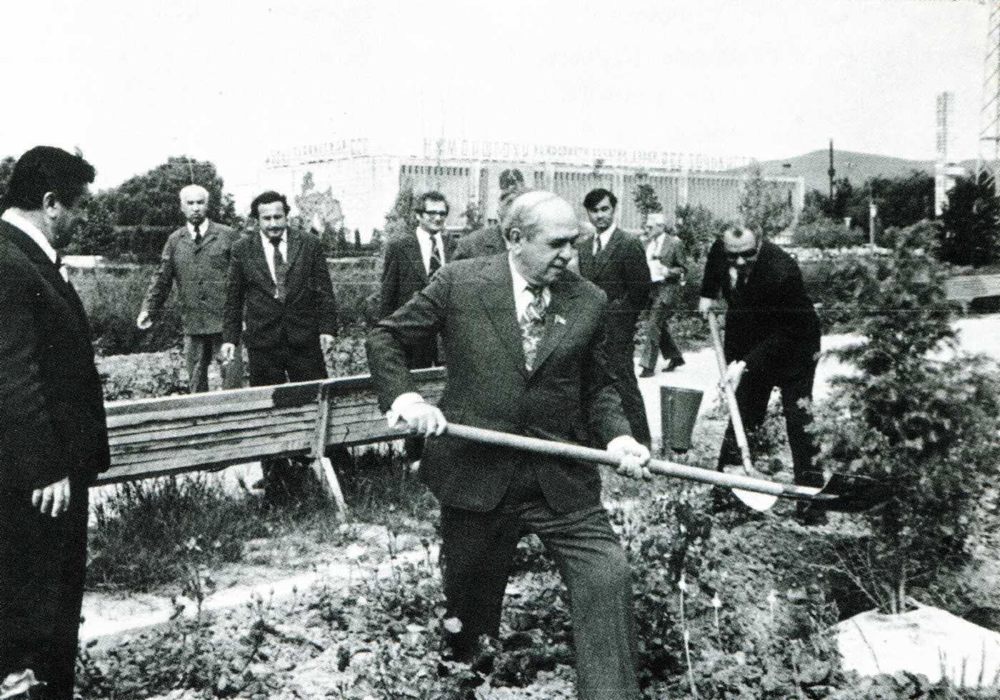 Посадка деревьев на субботнике. 22 апреля 1977 года