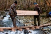 «Газпром» установил соляные кормушки для животных в Кавказском заповеднике