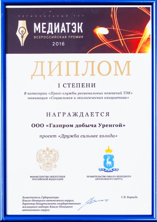 Диплом I степени за проект «Дружба сильнее холода»