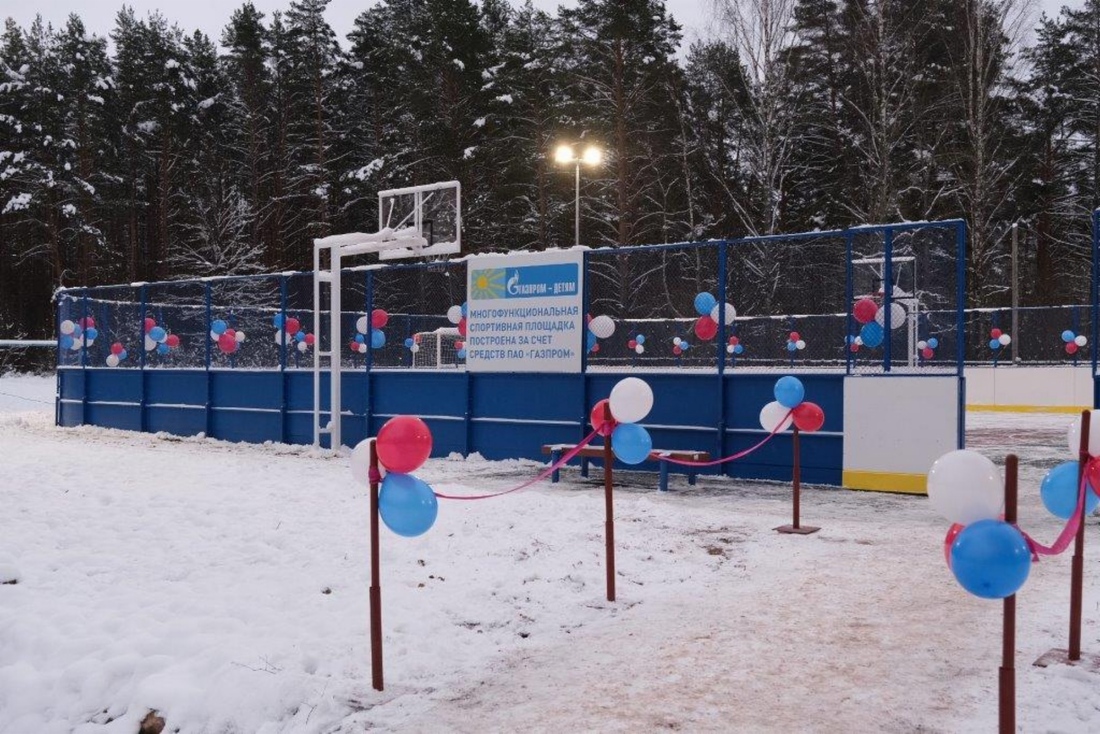 пресс-служба Правительства Новгородской области