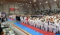 Открытие Кубка России по сетокан карате-до в Щелково