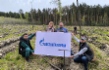 Работники компании высадили порядка 20 сеянцев