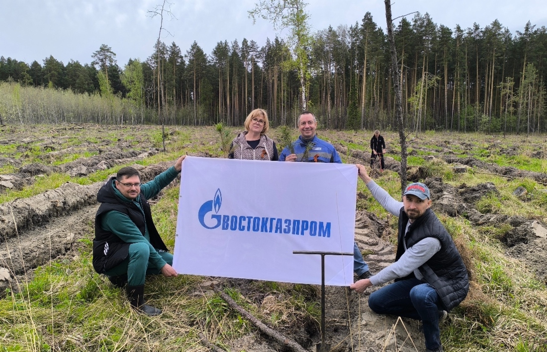 Работники компании высадили порядка 20 сеянцев