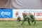 В заключительной части праздника лучшие команды приняли участие в военно-тематической игре «Территория экстрима»