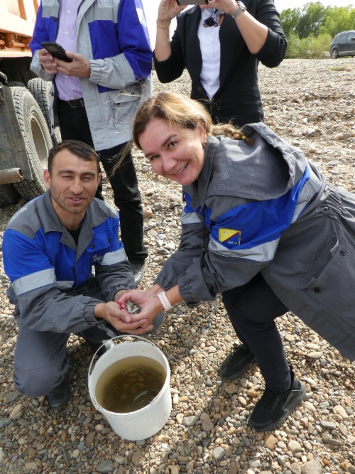 В воду было выпущено более 170 тысяч мальков сазана