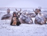 Фотография «Плюшевый мишка»