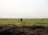 ООО «Газпром геологоразведка» поддержало экологическую акцию по уборке тундры