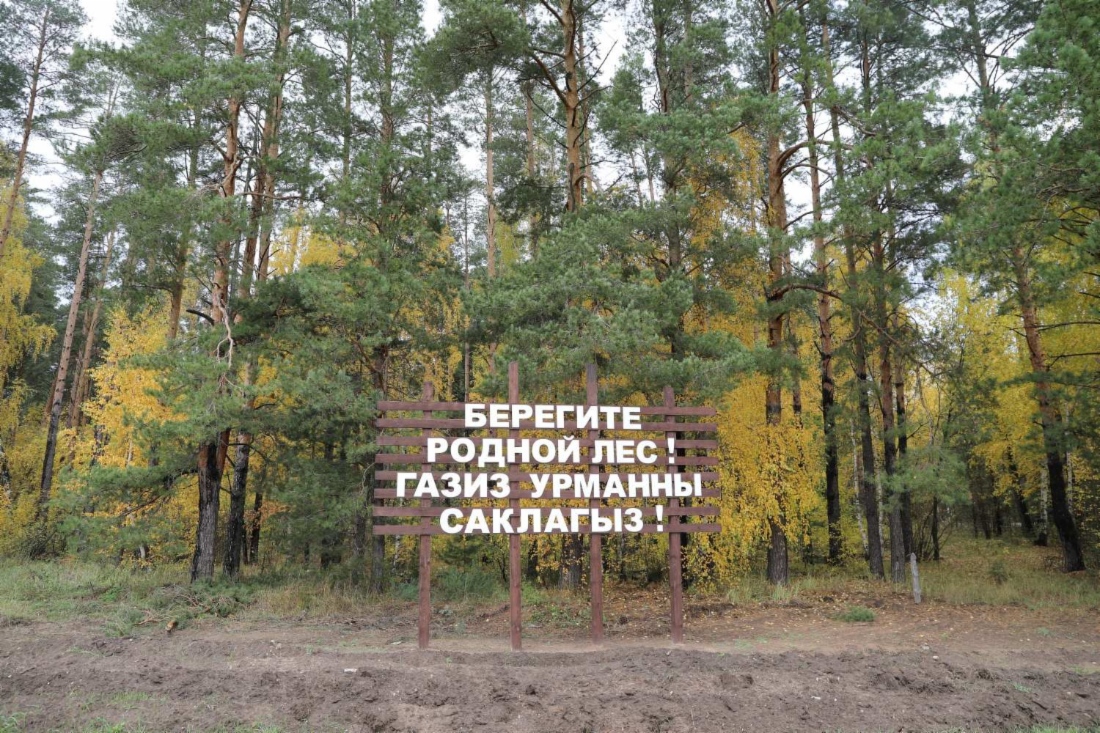 Работники и члены Совета молодых ученых и специалистов ООО «Газпром трансгаз Казань» приняли участие во всероссийской акции «Сохраним лес»