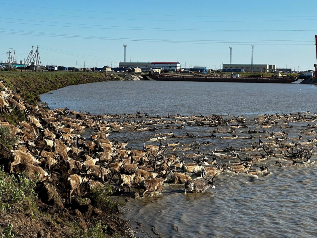 Море начинается с Бованенково