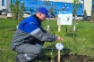 В Канчуринском УПХГ в рамках акции была высажена аллея рябин в память о ветеранах войны, стоявших у истоков создания филиала