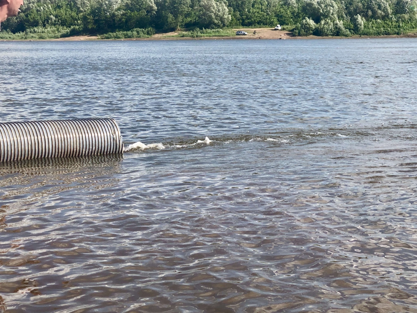 Запуск рыбы в реку