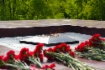 Вечный огонь на мемориальном комплексе «Могила Неизвестного солдата с Вечным огнем Славы», г. Петрозаводск