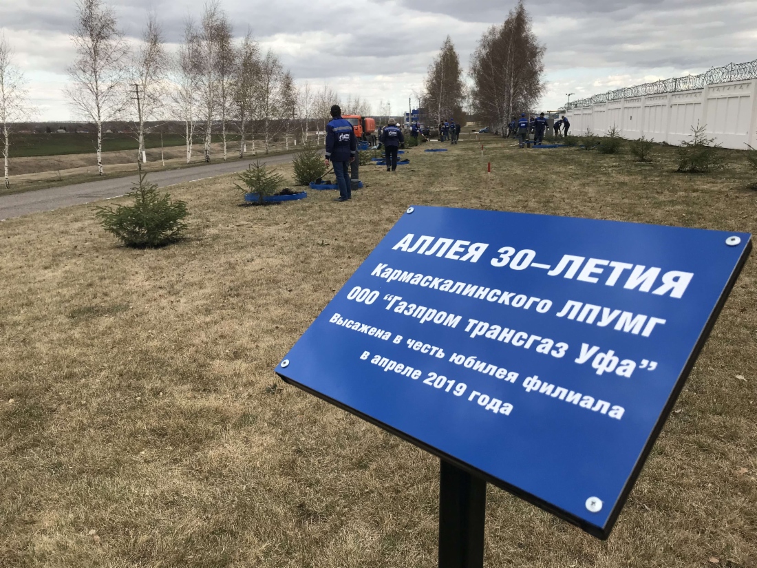 Кармаскалинцы высадили Аллею в честь юбилея филиала