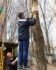 Благоустройство территорий на объектах социального назначения. Установка скворечников