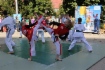 Тэквондо с легкостью могут заниматься и девочки